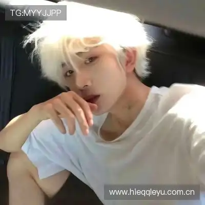 沈秦飚